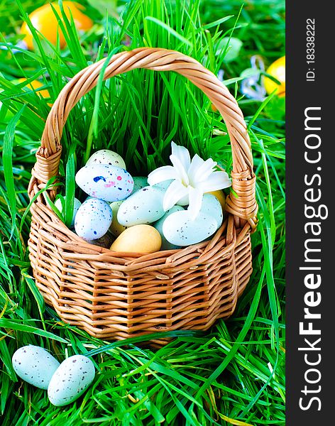 Chocolate Easter Eggs in a basket on a green grass