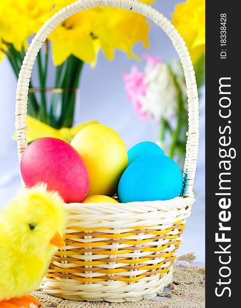 Easter basket with eggs, chicken and narcissus flowers. Easter basket with eggs, chicken and narcissus flowers