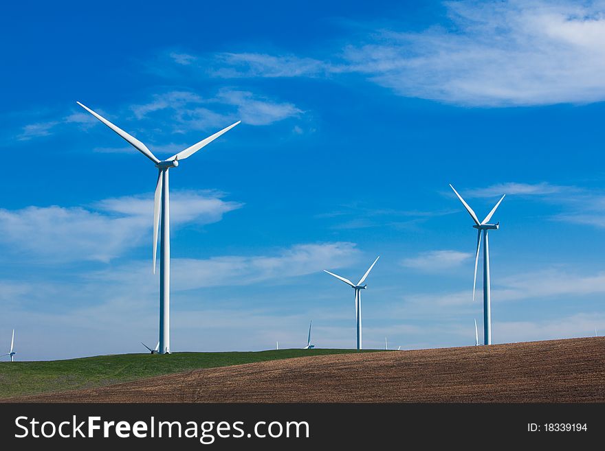 Wind Farm With Blue Sky