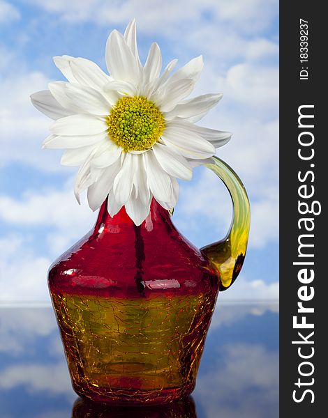 White  Daisy in red, orange and yellow bottle in front of blue sky with white clouds. White  Daisy in red, orange and yellow bottle in front of blue sky with white clouds