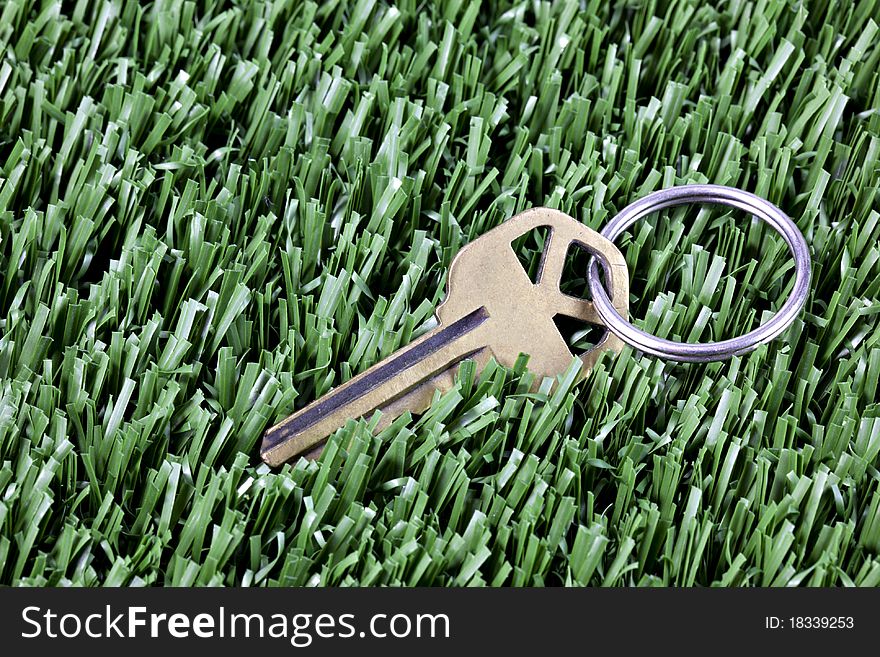 Lost key with metal ring  lying in mown green grass. Lost key with metal ring  lying in mown green grass