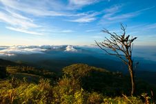 Trees On The Hills,Landscape,Cloudscape Stock Photography Trees On The Hills,Landscape,Cloudscape Stock Photography