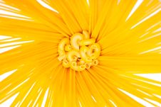 Different Kinds Of Italian Pasta Royalty Free Stock Photos Different Kinds Of Italian Pasta Royalty Free Stock Photos