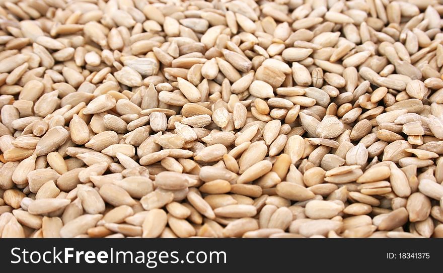 Sunflower seeds closeup horizontal picture.