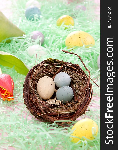 Easter Painted eggs composition in birds nest decorated with spring tulips and grass on a pastel background