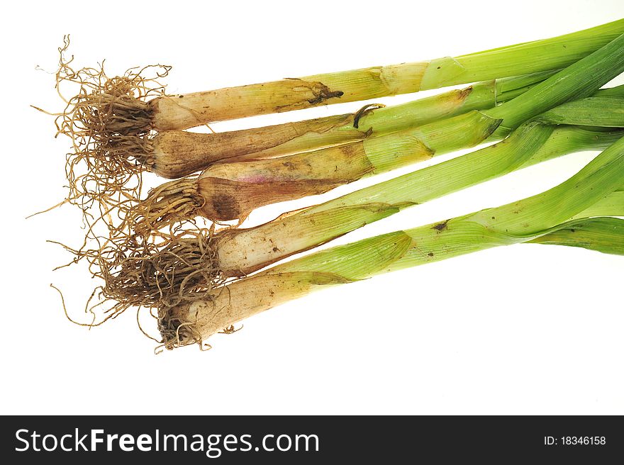 Chinese Leeks Plants With Roots And Stalk Isolated On White Background