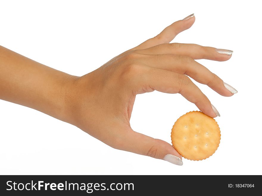 Hand That Holds The Biscuit