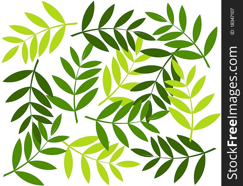 Green leaves background. Vector illustration. Green leaves background. Vector illustration