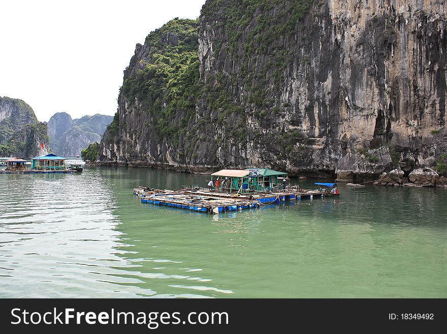 Floating houses, fish banks, at Halong Bay, Vietnam. Floating houses, fish banks, at Halong Bay, Vietnam