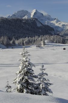 Winter Landscape Stock Photography