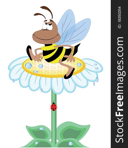 Cute bee on the big chamomile