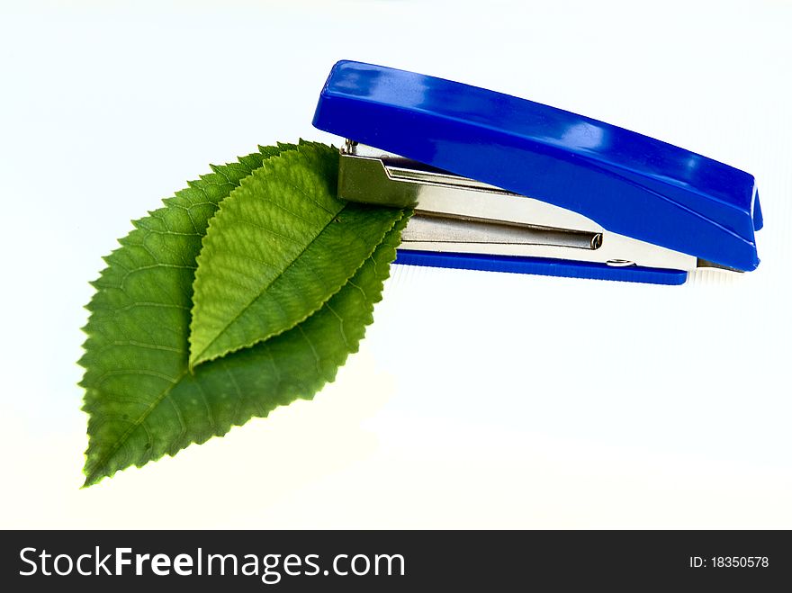 Stapler and green leaves