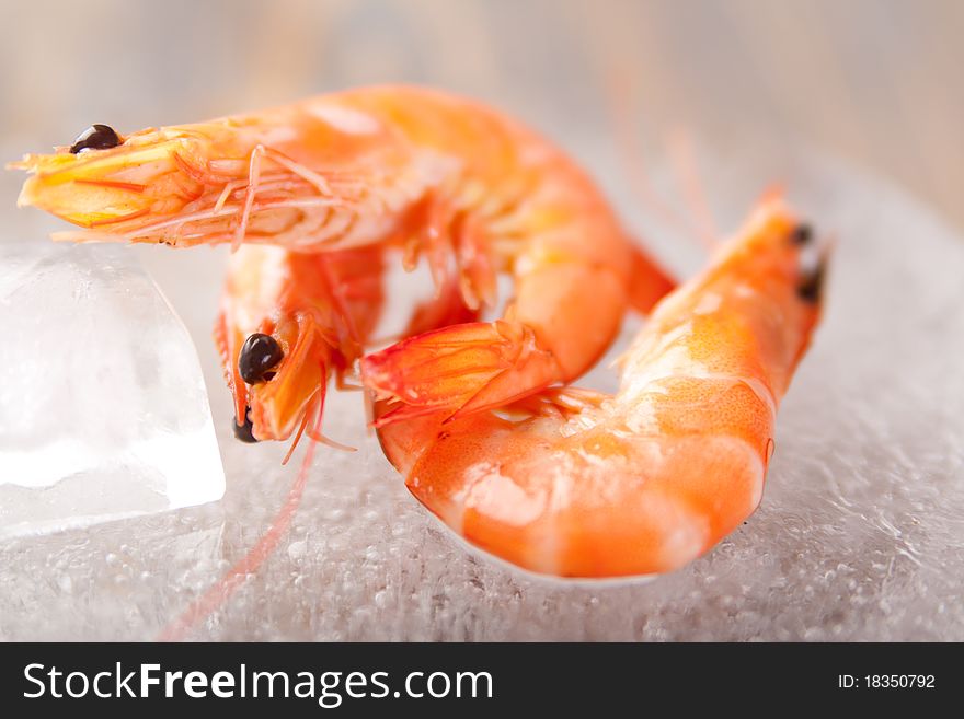 Fresh shrimps