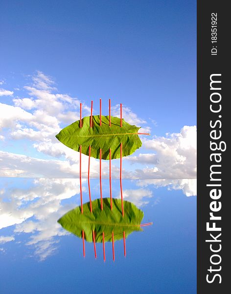 Green leaf object on the mirror