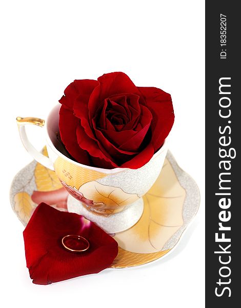 Rose In Cup