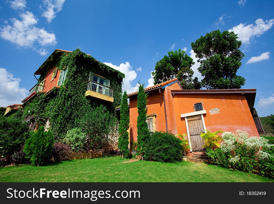 Italy house style covered with grapes vine