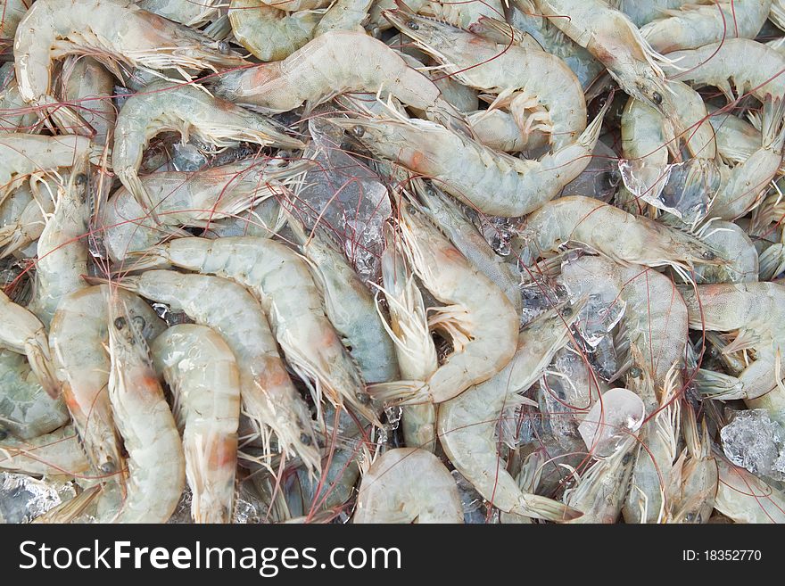 Fresh shrimps at seafood market