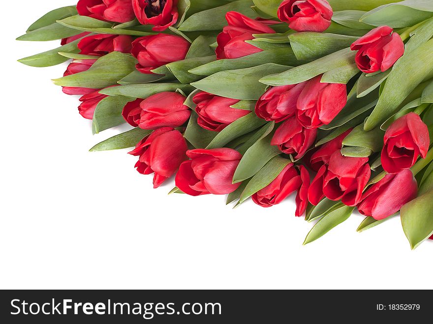 Bouquet from spring tulips on a white background