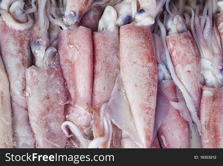 Fresh squids at seafood market