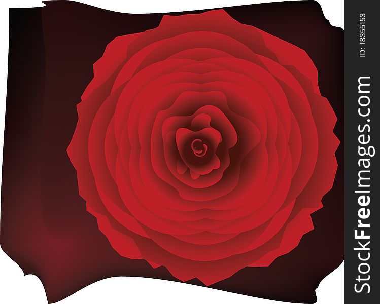 Flower background with rose element for design illustration