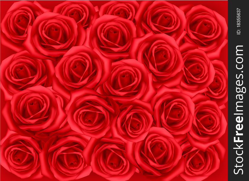 Background With Red Roses. Vector.