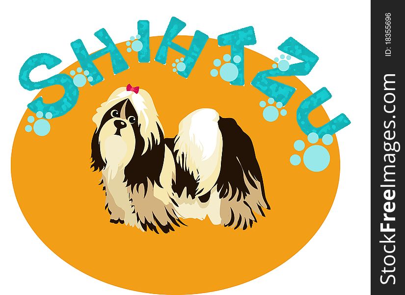 Shih-Tzu  Dog