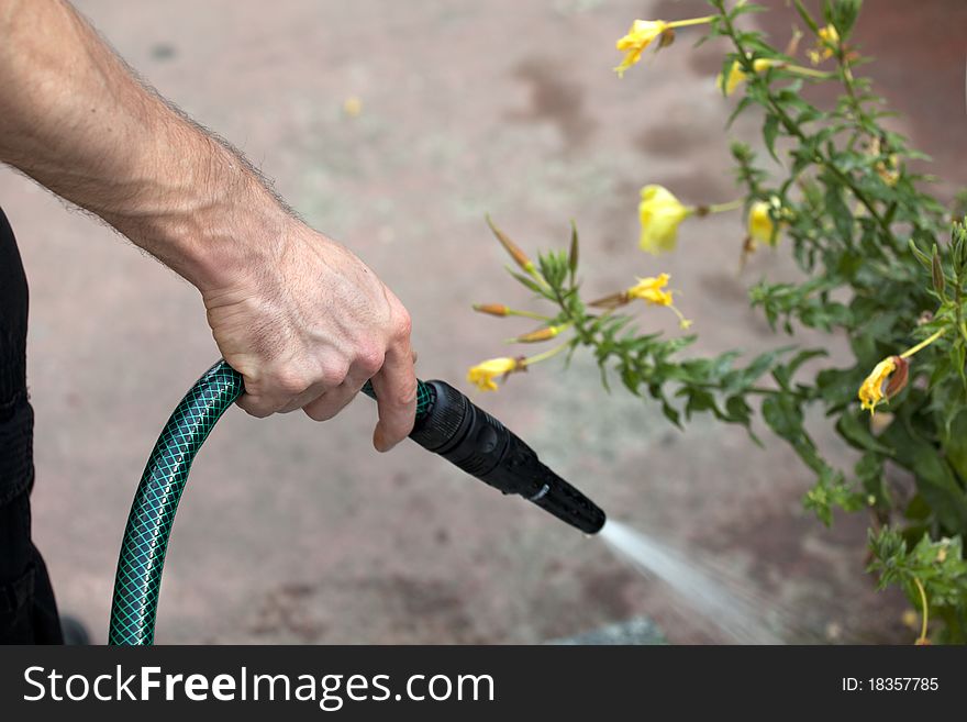 Garden Watering