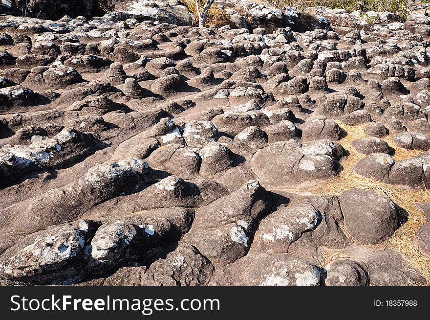 Rocky ground button that occurs naturally. Rocky ground button that occurs naturally