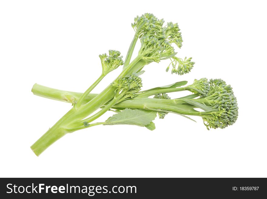 Fresh broccoli stems isolated on white