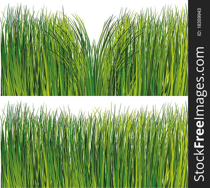 Grass set. Vector illustration. Gradient only