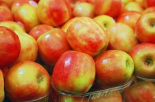 Close Up Of Apples Royalty Free Stock Photos Close Up Of Apples Royalty Free Stock Photos