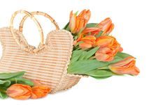 Tulips In The Wicker Handbag Royalty Free Stock Photography