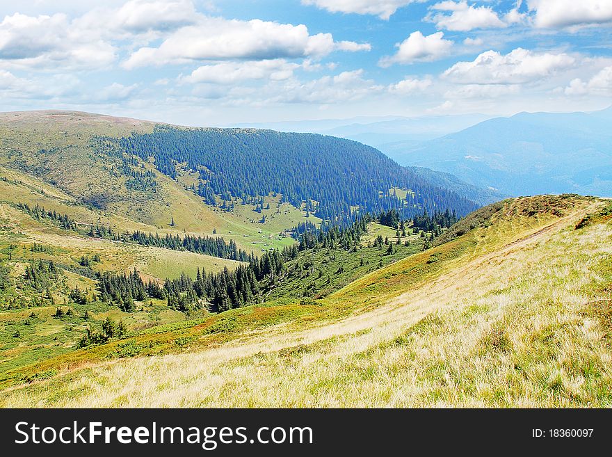 Carpathian summer views, mountain and the plain. Carpathian summer views, mountain and the plain
