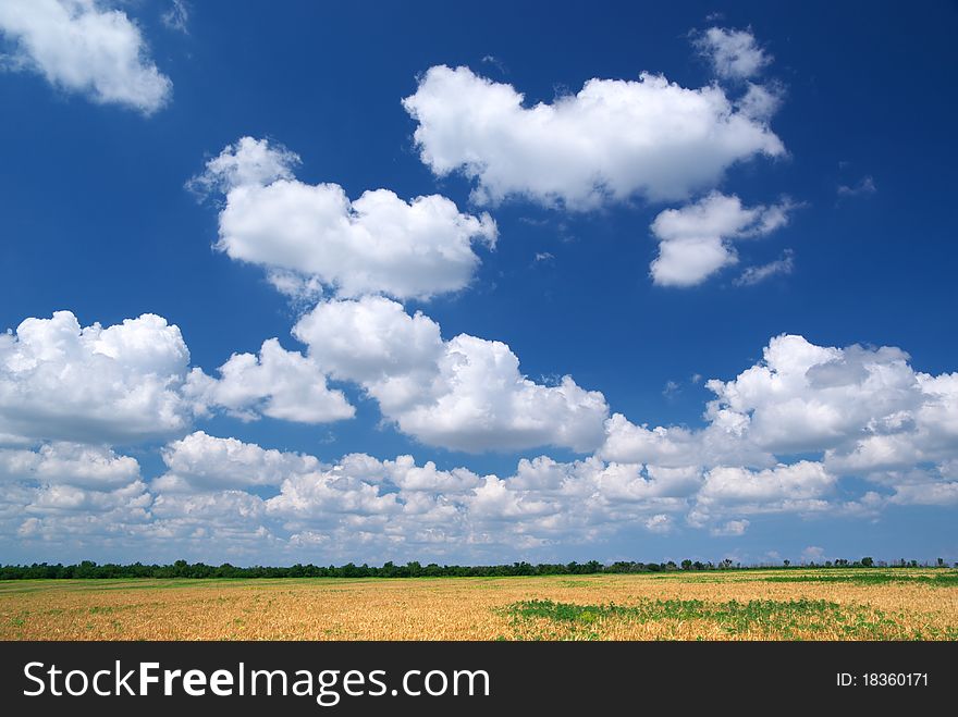 Spring cloudscape.Composition of nature composition. Spring cloudscape.Composition of nature composition.