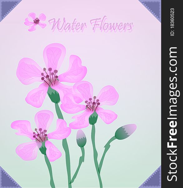 Water Colored Flowers Illustration, soft tones. Water Colored Flowers Illustration, soft tones