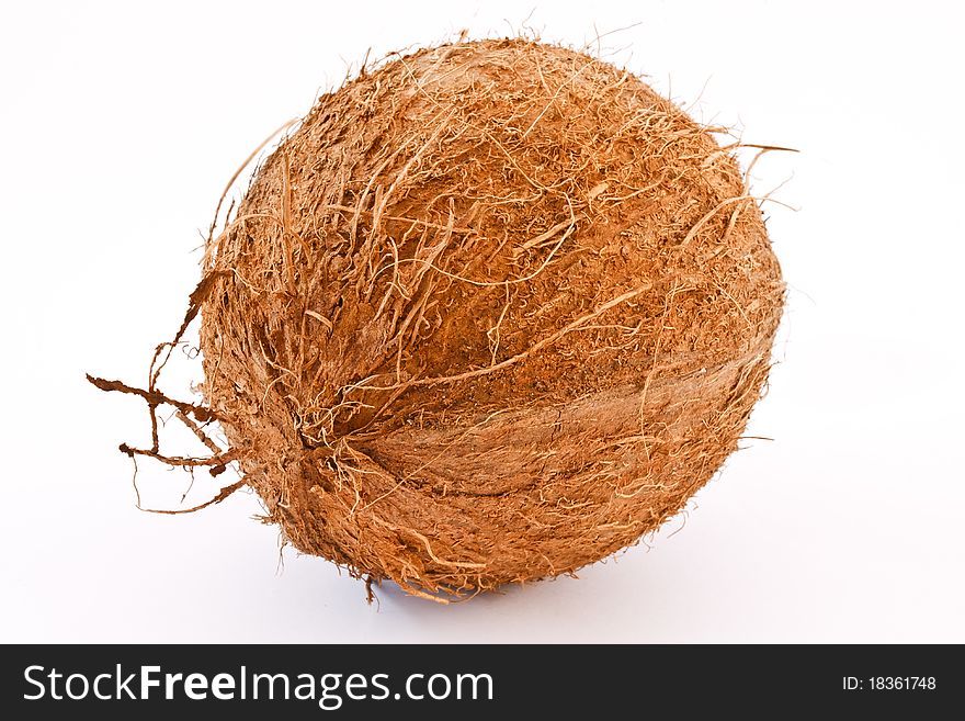 A coconut is isolated on a white background