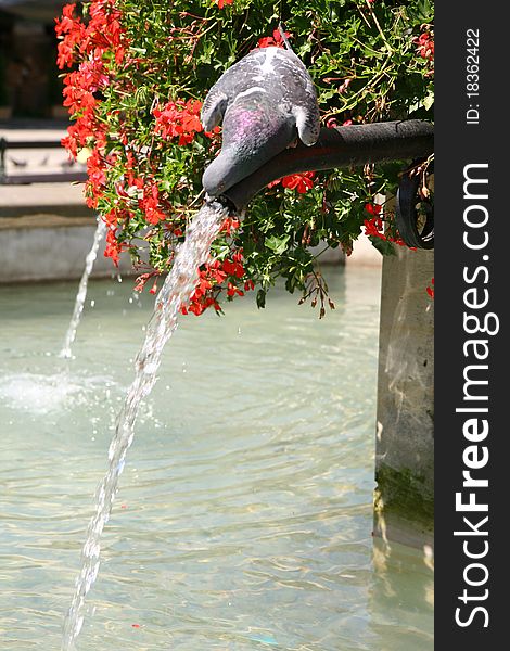 Pigeon drinking from a fountain