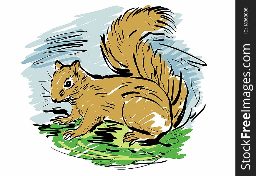Freehand drawing of a squirrel
