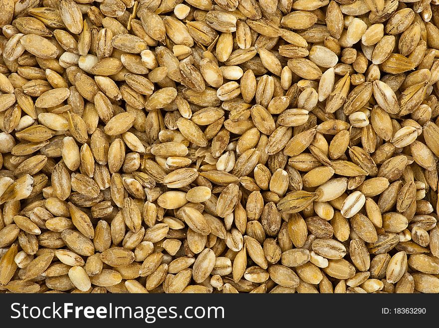 Raw pearl barley macro background