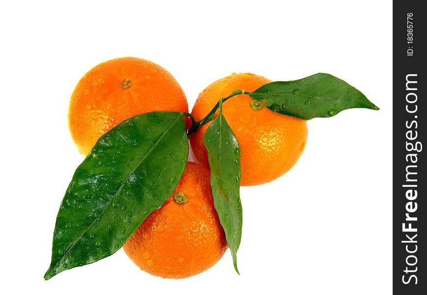 Tangerines With Leaves Isolated