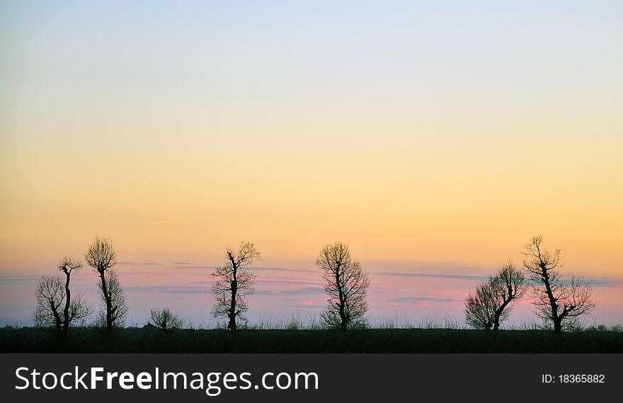 Wallpaper sunset landscape with tree branches