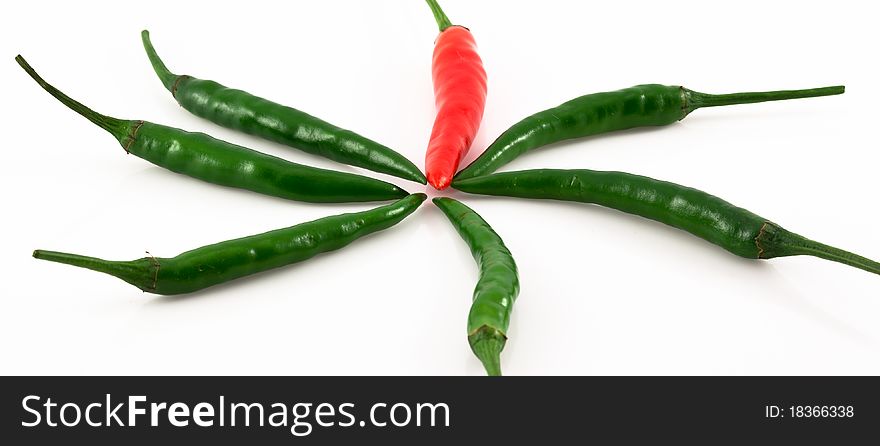 Chili isolated background