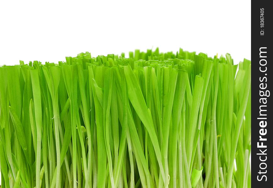 Green grass isolated on a white background