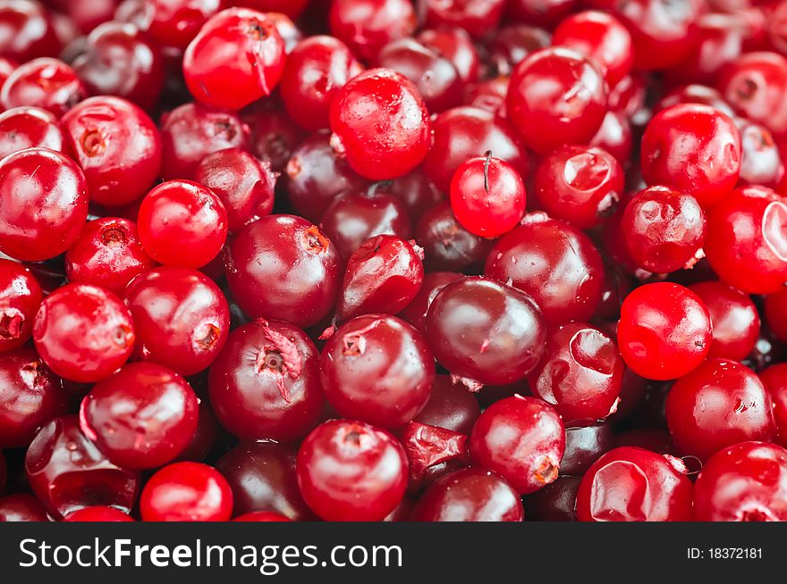 Red cranberries close-up with selective focus. Red cranberries close-up with selective focus