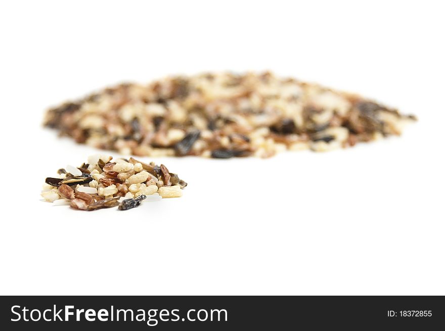 Wild Rice Small And Large