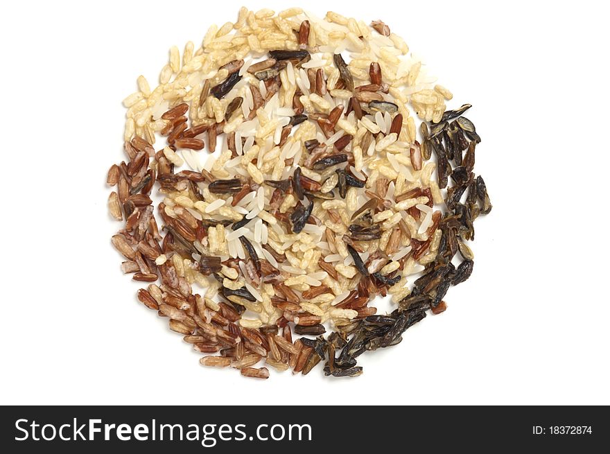 Wild Rice Circle