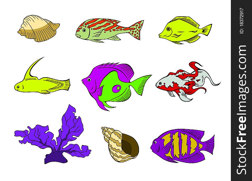 An assortment of underwater creatures. An assortment of underwater creatures