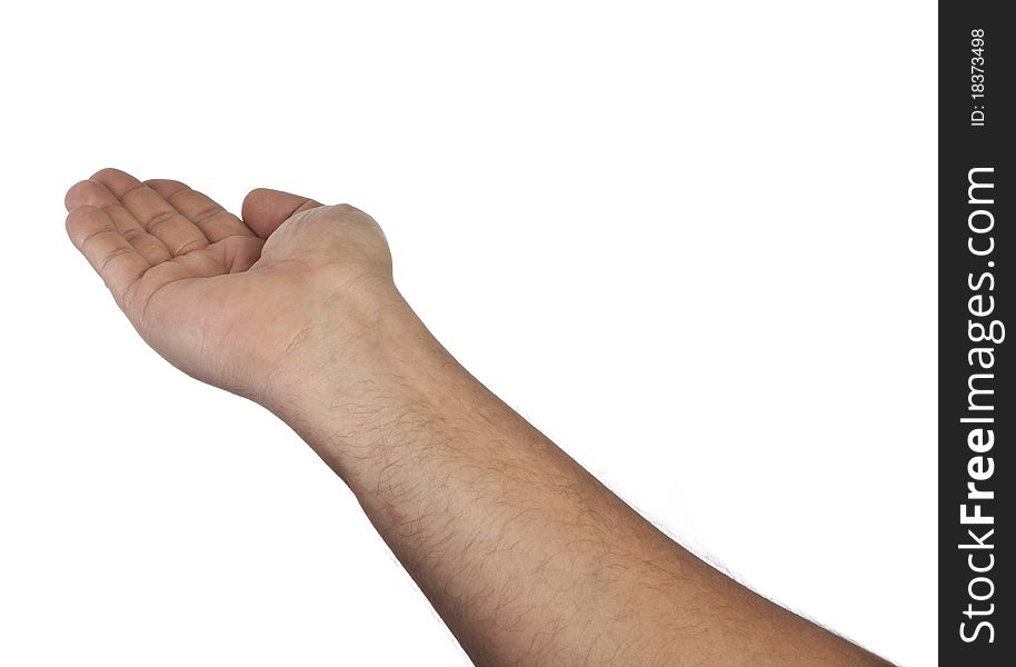 Human male hand for carry something