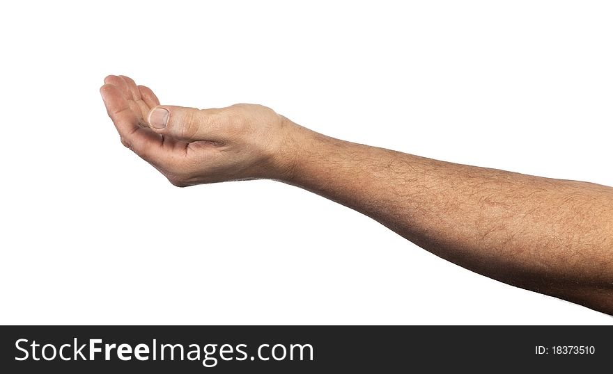 Human male hand for carry something