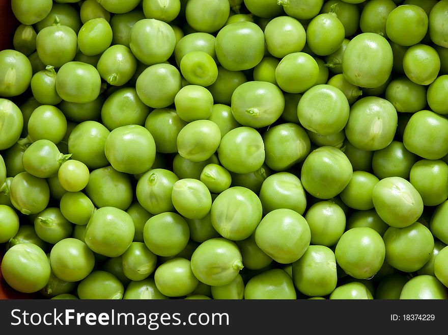 Shelling peas close up. Picture food ingredients